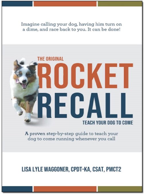 Title details for The Original Rocket Recall by Lisa Lyle Waggoner - Available